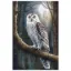 Afbeeldingen van Witte uil - Diamond painting - Josephiena.nl - DP-080