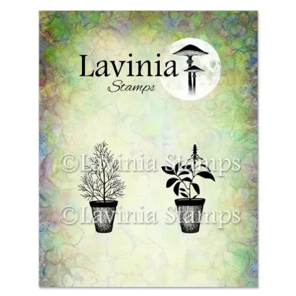 Afbeeldingen van Dill & Sage Pots - Lavinia Stamps - LAV939