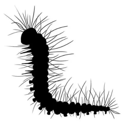 Afbeeldingen van Christopher Caterpillar Miniature - Lavinia Stamp - Lav504