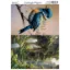 Picture of Blauwe vogel #6 - Josephiena's collage paper - CP-034