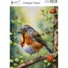 Afbeeldingen van Vogels #1 - Josephiena's collage paper - CP-064