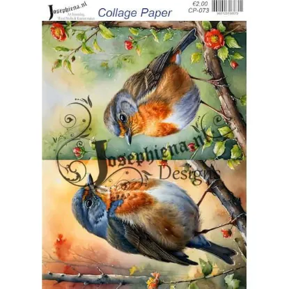 Afbeeldingen van Vogels #10 - Josephiena's collage paper - CP-073