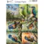 Afbeeldingen van Vogels #11 - Josephiena's collage paper - CP-074