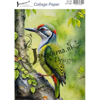 Picture of Birds #4 - Josephiena's collage paper - CP-067