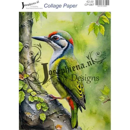 Afbeeldingen van Vogels #4 - Josephiena's collage paper - CP-067