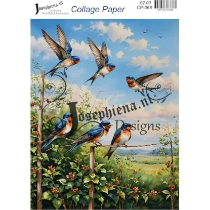 Picture of Birds #5 - Josephiena's collage paper - CP-068