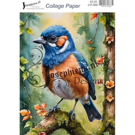 Afbeeldingen van Vogels #6 - Josephiena's collage paper - CP-069