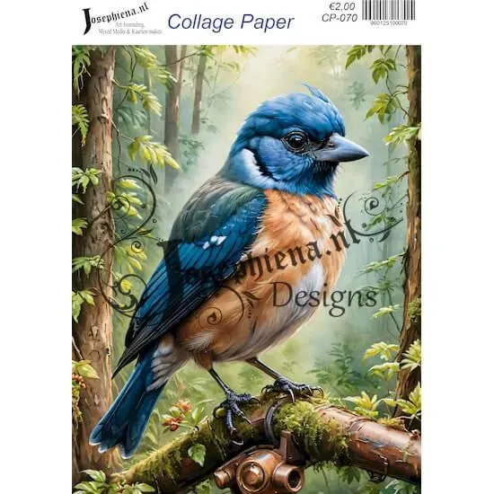 Afbeeldingen van Vogels #7 - Josephiena's collage paper - CP-070