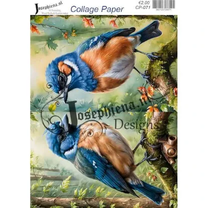 Afbeeldingen van Vogels #8 - Josephiena's collage paper - CP-071