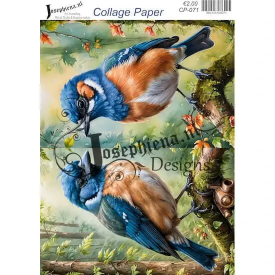Afbeeldingen van Vogels #8 - Josephiena's collage paper - CP-071