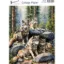 Afbeeldingen van Wild life #14 - Josephiena's collage paper - CP-099