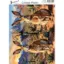 Picture of Desert rabbit - Josephiena's collage paper - CP-084