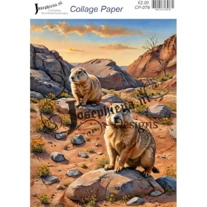 Afbeeldingen van Woestijndieren #5 - Josephiena's collage paper - CP-079