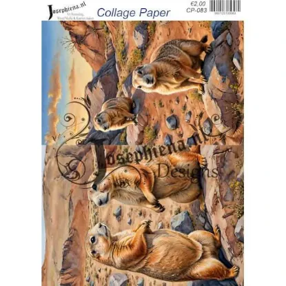 Afbeeldingen van Woestijndieren #9 - Josephiena's collage paper - CP-083