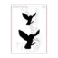 Picture of Flying owl - stencil - A6S062