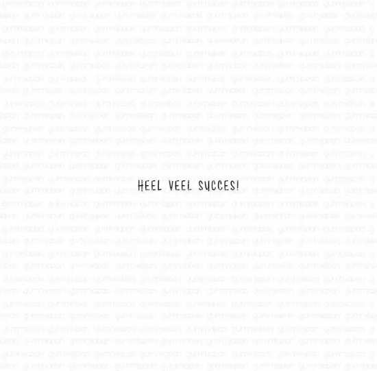 Afbeeldingen van Heel veel succes! - tekst-stempel - Gummiapan