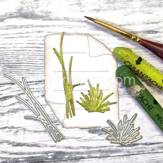 Afbeeldingen van Zeewier - stans - Gummiapan - D240331