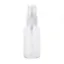 Afbeeldingen van Mister Spray Bottle 10 cm