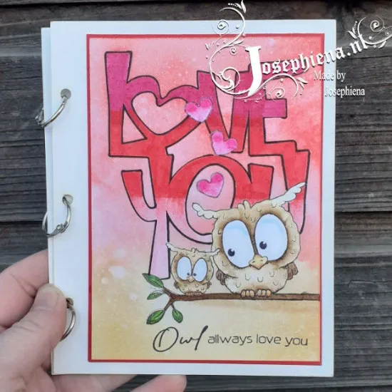 Afbeeldingen van Ring-album/journal voor A6