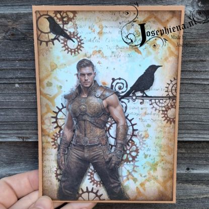 Afbeeldingen van Kaart: Steampunk man met vogel