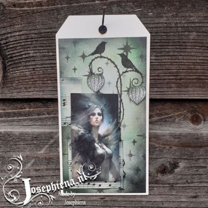 Afbeeldingen van Tag: Fallen Light