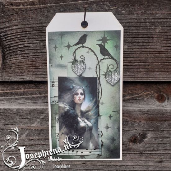 Afbeeldingen van Tag: Fallen Light