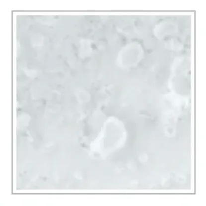 Cadence Vintage Legend Gesso 150 ml White