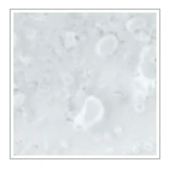 Cadence Vintage Legend Gesso 150 ml White