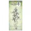 Twilight Lily - Lavinia Stamps - LAV905