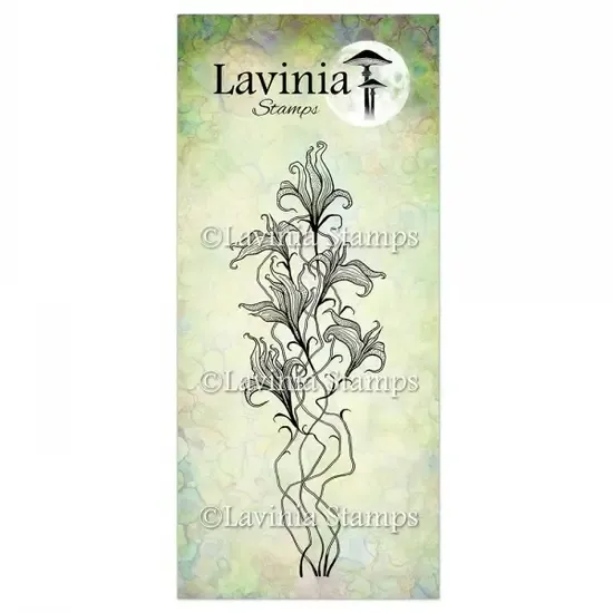 Twilight Lily - Lavinia Stamps - LAV905